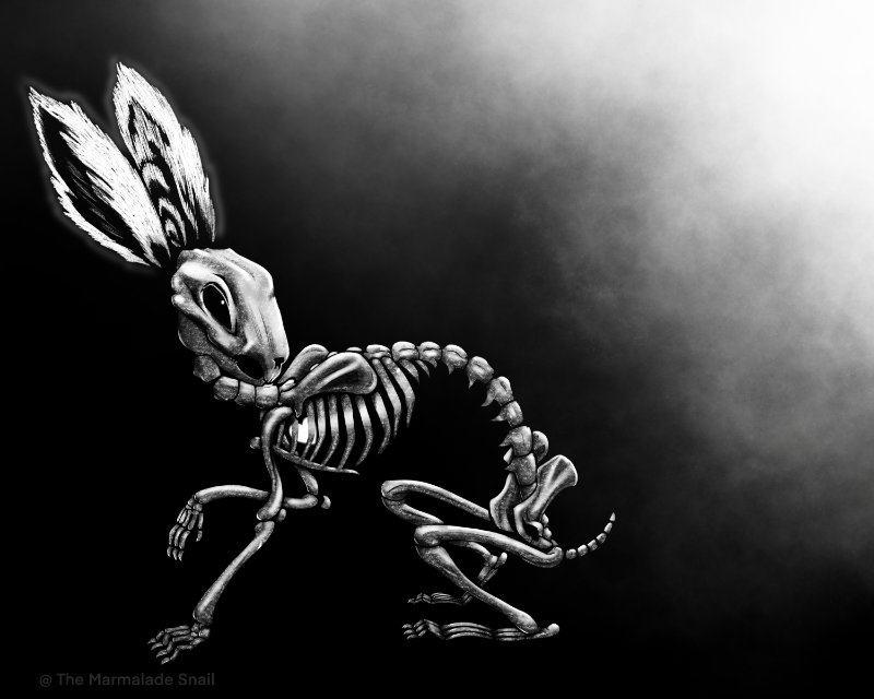 Skelebun Copyright 2024 Marmalade McDonald